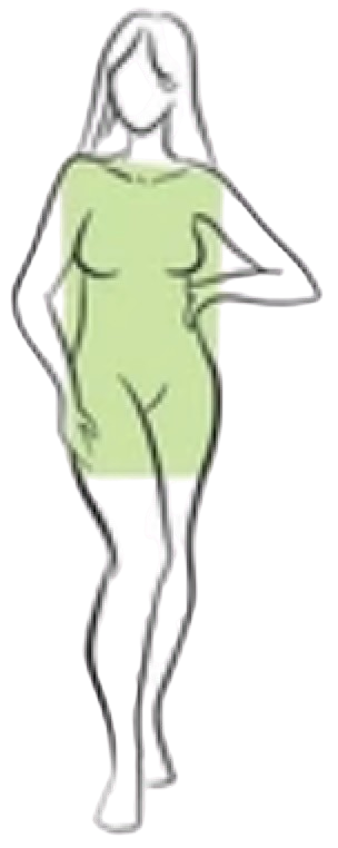 rectangle body type icon